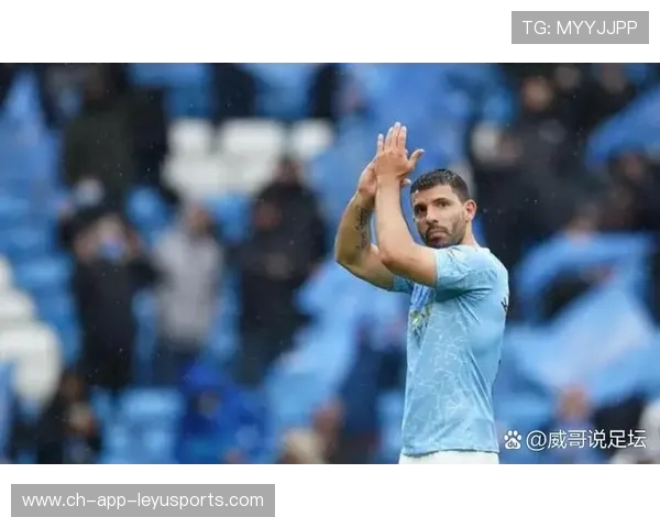 追寻荣耀:欧冠赛场上的“夺冠之梦”,欧冠夺冠资格赛